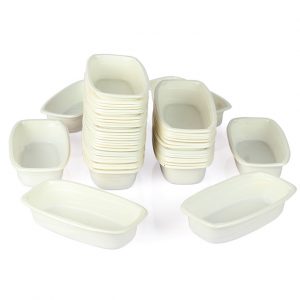 Disposable Small Chop Plastic Plate – 48pcs