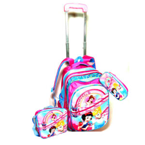 Big teen detachable trolley bag