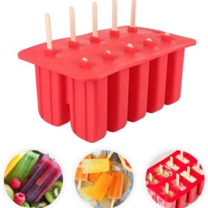 10 Case DIY Popsicle Ice cream Mould