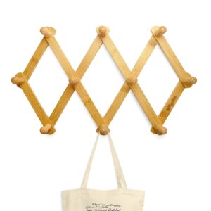 Collapsible Wooden Wall Hanger