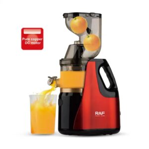 RAF 150W Slow Fruit Juicer And Extractor