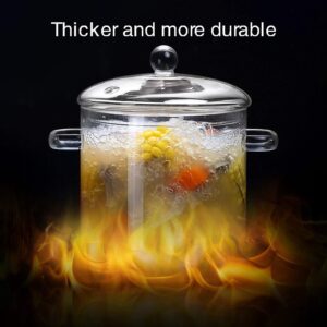 1.8L Glass Cooking Pot