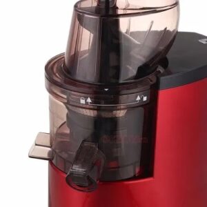 Sokany Whole Fruit Multifunctional Slow Juicer – 300w