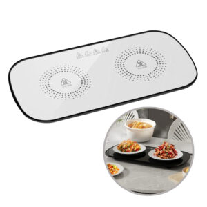 Fast Heating Electric Warming Tray