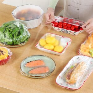 Transparent Food and Plate Storage Wrap