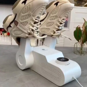 Electric Shoe Dryer and Deodorizer