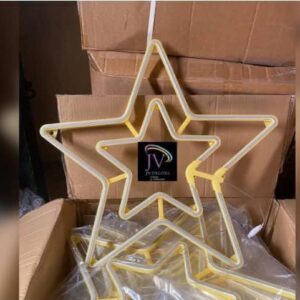 LED Christmas Star Decor