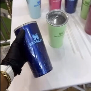 Stanley Thermos Straw Cup