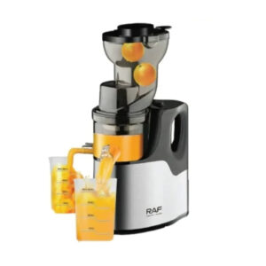 RAF 150W Slow Fruit Juicer and Extractor Silver