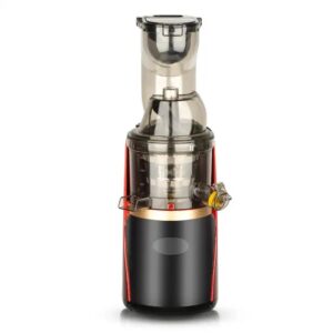 RAF 150W Slow Fruit Juicer and Extractor Gold