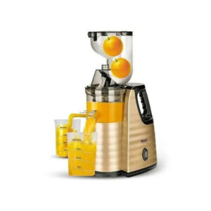 RAF 150W Slow Fruit Juicer and Extractor Gold