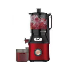 RAF Industrial Slow Juicer